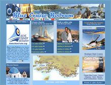 Tablet Screenshot of bluecruise.org